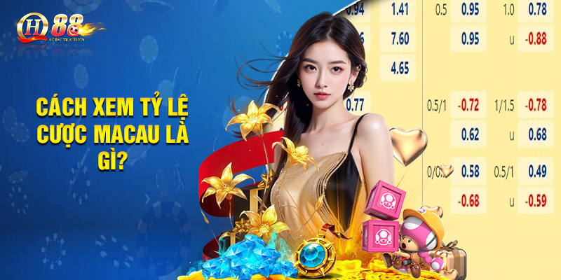 Người Chơi Tham Gia QH88 Cần Nắm Rõ Tỷ Lệ Cược Macau Là Gì? Cách xem tỷ lệ cược Macau là gì?